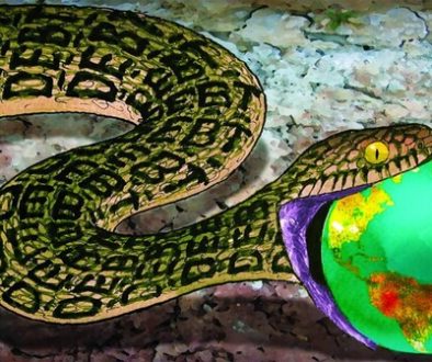 حان وقت دق ناقوس الخطر لتنامي المخاطر المالية العالمية