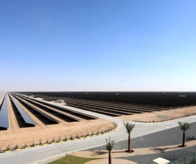 حصاد الإمارات 2025.. ريادة عالمية في الاستدامة ومواجهة التحديات المناخية