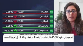 CI Capital للعربية الأهلي السعودي يتصدر البنوك إقليميًا من حيث المقومات الأساسية