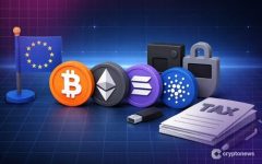 EU's DAC8 Crypto Tax Law Is Now in Force. What It Means for You