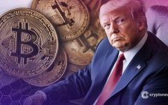 Trump Tariffs Bitcoin May Indicate 86% Chance of a Blink Soon