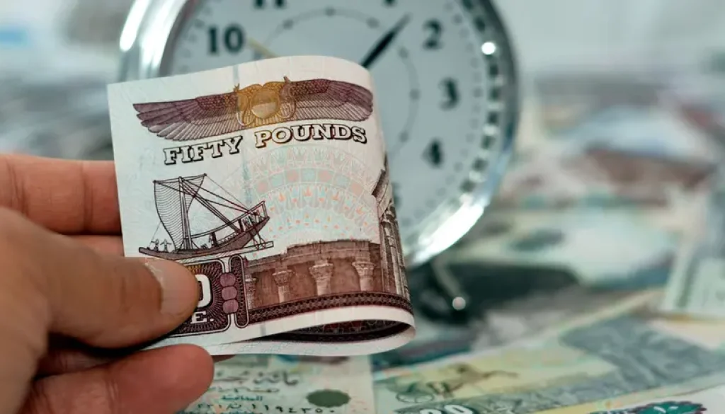 أرقام مذهلة.. أجور القطاع العام في مصر أكثر من 3 أضعاف الخاص