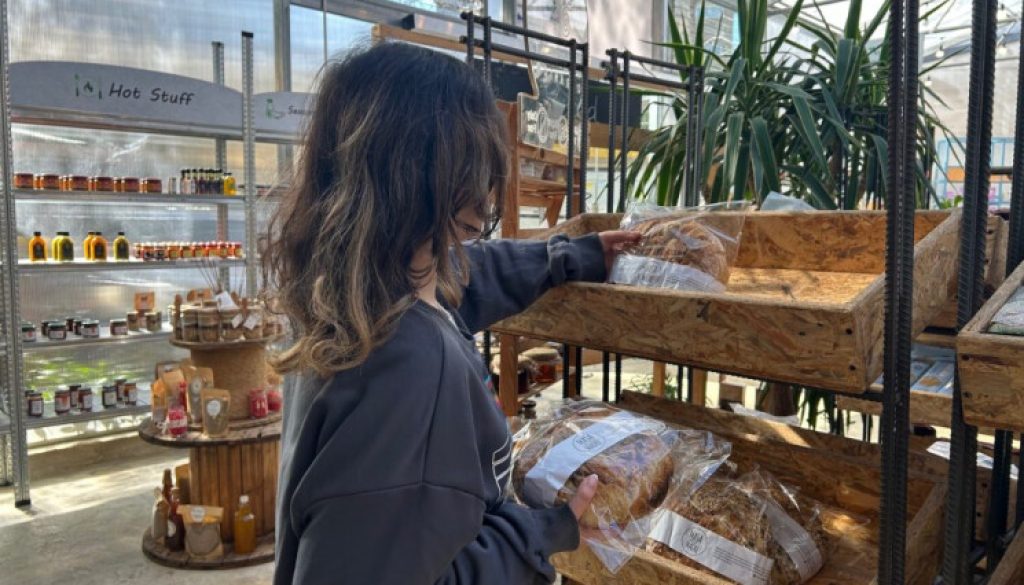 الحصيلة الاقتصادية لعام 2025