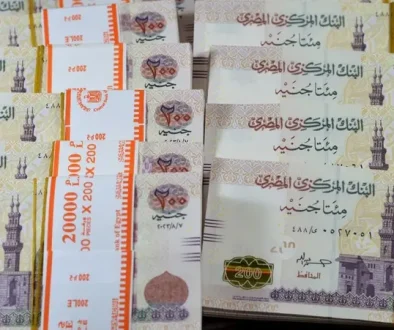 مفاجأة غير متوقعة في سعر الجنيه المصري خلال 2026.. ماذا يكشف العائد الحقيقي؟