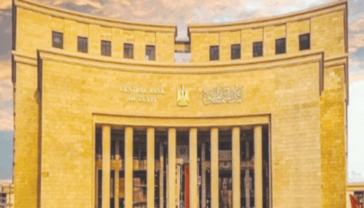 المركزي المصري يوجه البنوك بتوسيع الخدمات الرقمية