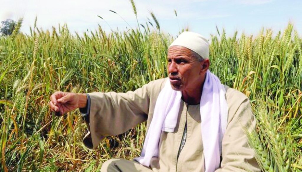صندوق النقد العربي الزراعة العربية تحت ضغط المياه وتراجع العمالة