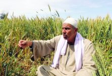 صندوق النقد العربي الزراعة العربية تحت ضغط المياه وتراجع العمالة