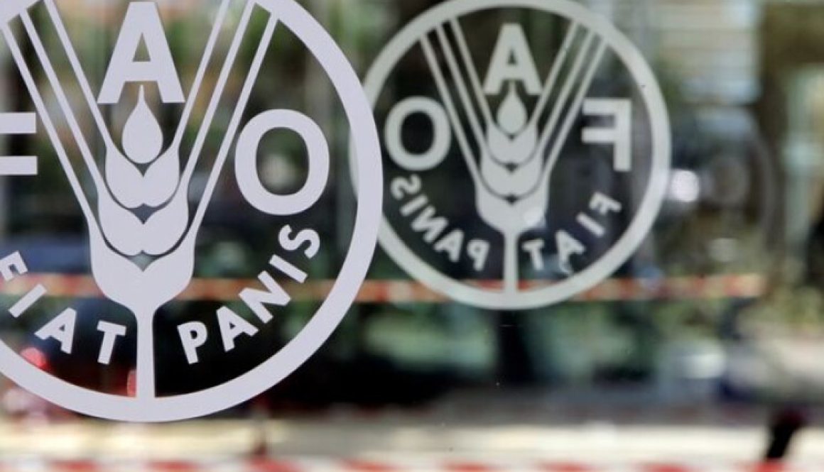 لبنان رئيساً لمجموعة الشرق الأدنى في منظمة الفاو للعام 2026