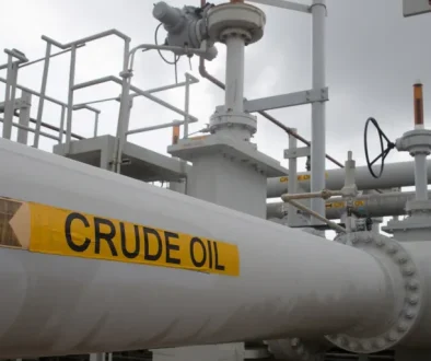 43560a5d-5c39-4967-b518-374b864f60e7