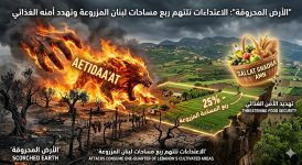 الأرض المحروقة الاعتداءات تلتهم ربع مساحات لبنان المزروعة وتهدد أمنه الغذائي