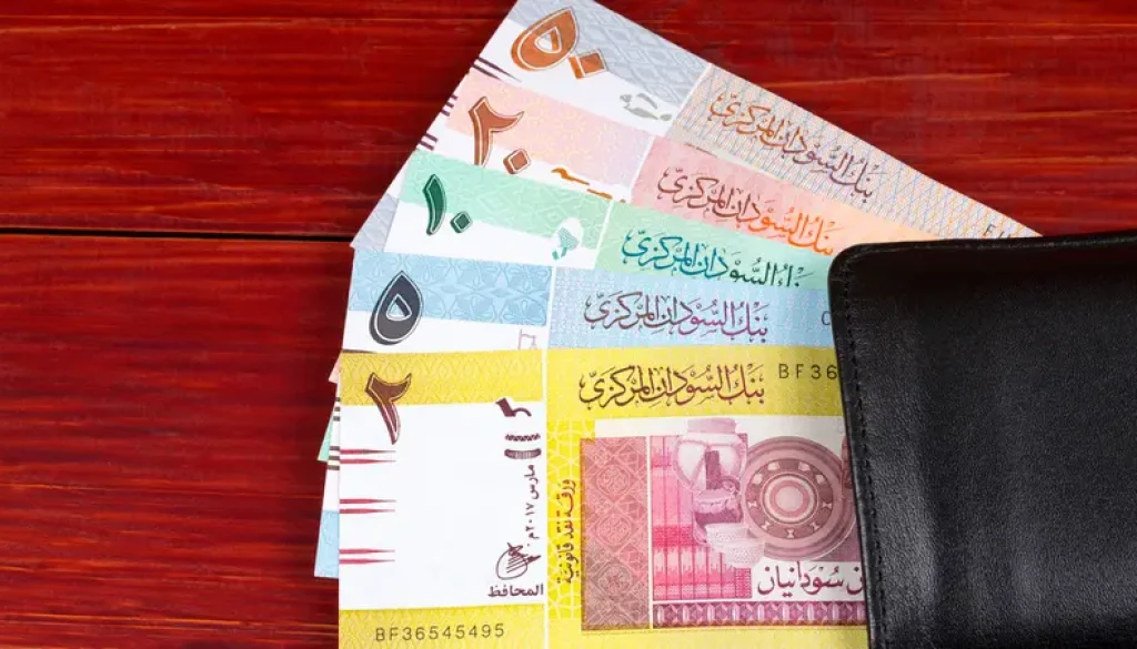 بنك السودان يرفع الحد الأقصى لتمويل المشروعات ويستحدث قطاعات جديدة