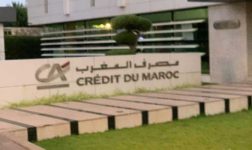 بنك المغرب يرصد انتعاشاً في التشغيل وتراجع البطالة رغم استمرار تحديات الشباب والقطاع الفلاحي