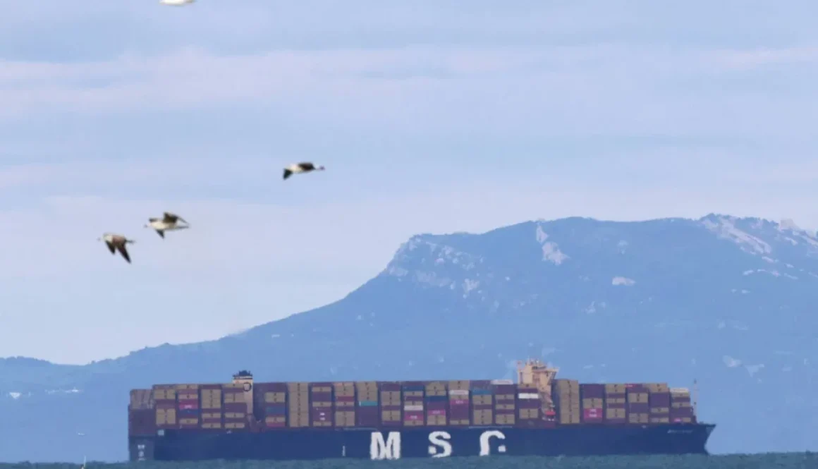 صندوق النقد الدولي الصراع يلقي بظلاله على نمو اقتصاد المغرب