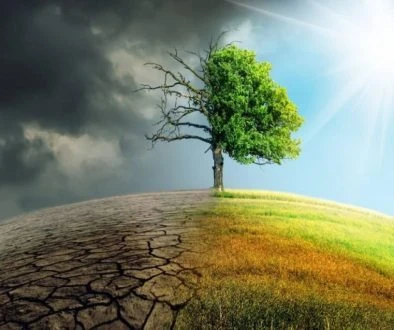 مسار التحول الأخضر ينقلب رأساً على عقب في الاتحاد الأوروبي