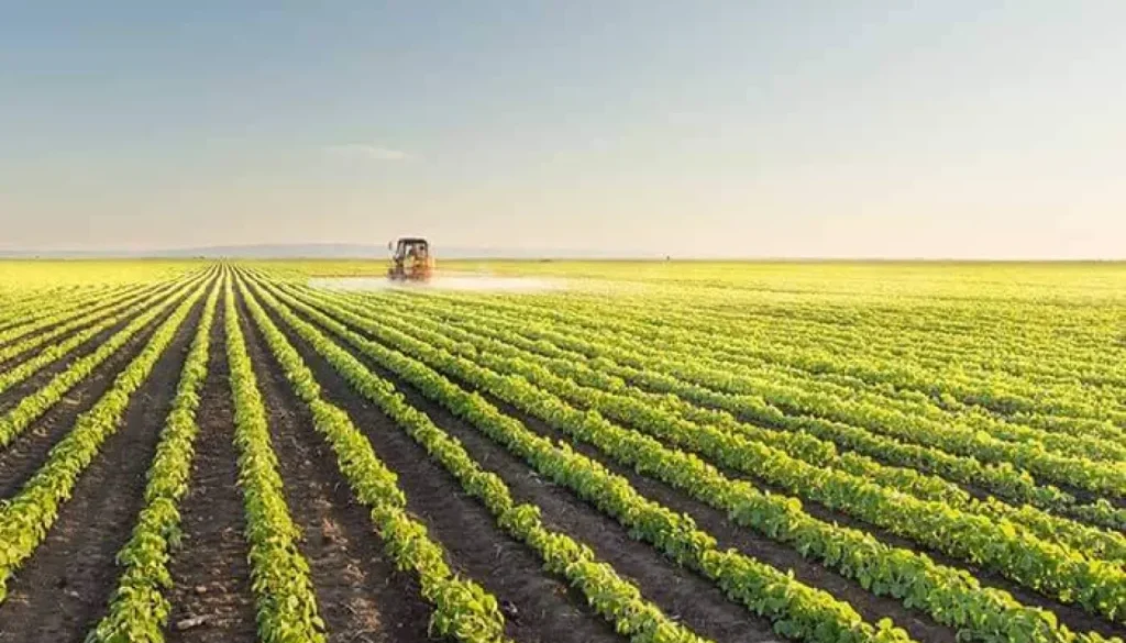 الاكتفاء الغذائي السعودي… «درع سيادية» في مواجهة عاصفة «هرمز»