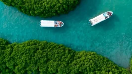 السياحة السعودية نهضة اقتصادية مذهلة تقودها «رؤية 2030» من العراقة إلى الريادة