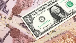 لماذا حددت مصر سعر الدولار بـ47 جنيهاً في موازنة 20262027؟
