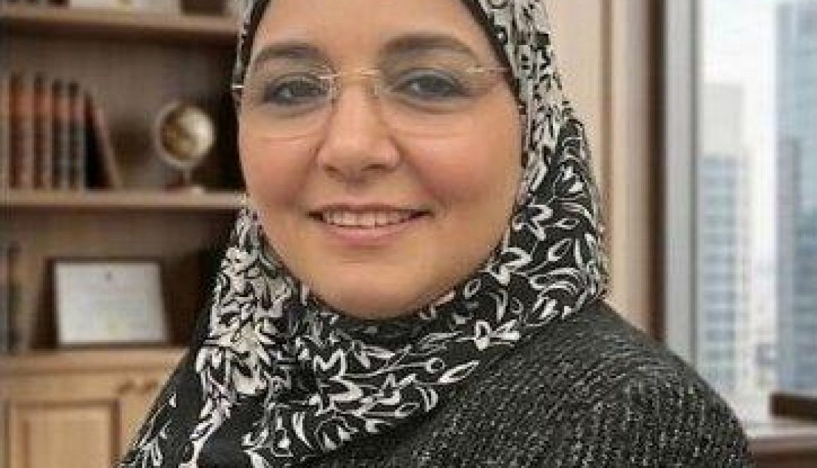 لمياء محمد جمال الدين