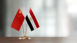 مصر تستقطب استثمارات صينية بمليار دولار في الربع الأول من 2026