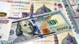 نصف مليار دولار أموال ساخنة خرجت من مصر خلال يومين