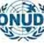 ONUDI