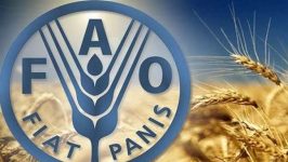 الفاو تحذر إغلاق هرمز قد يؤدي لأزمة عالمية حادة في أسعار الأغذية