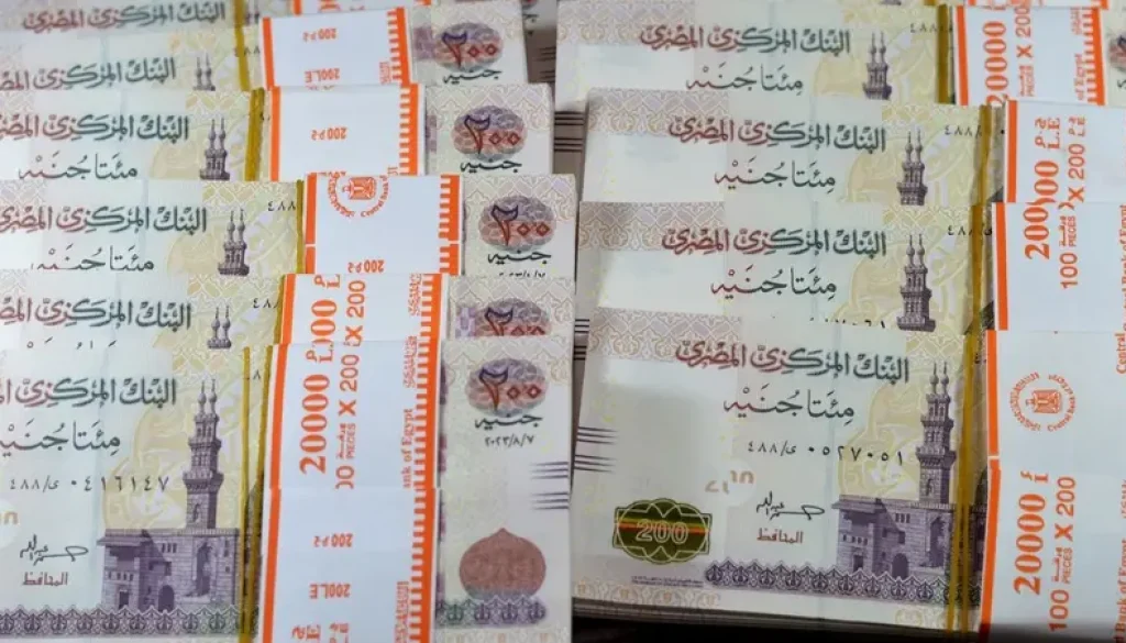 بنوك مصرية تحاول إنعاش مدخرات الأفراد عبر منتجات مرتفعة العوائد