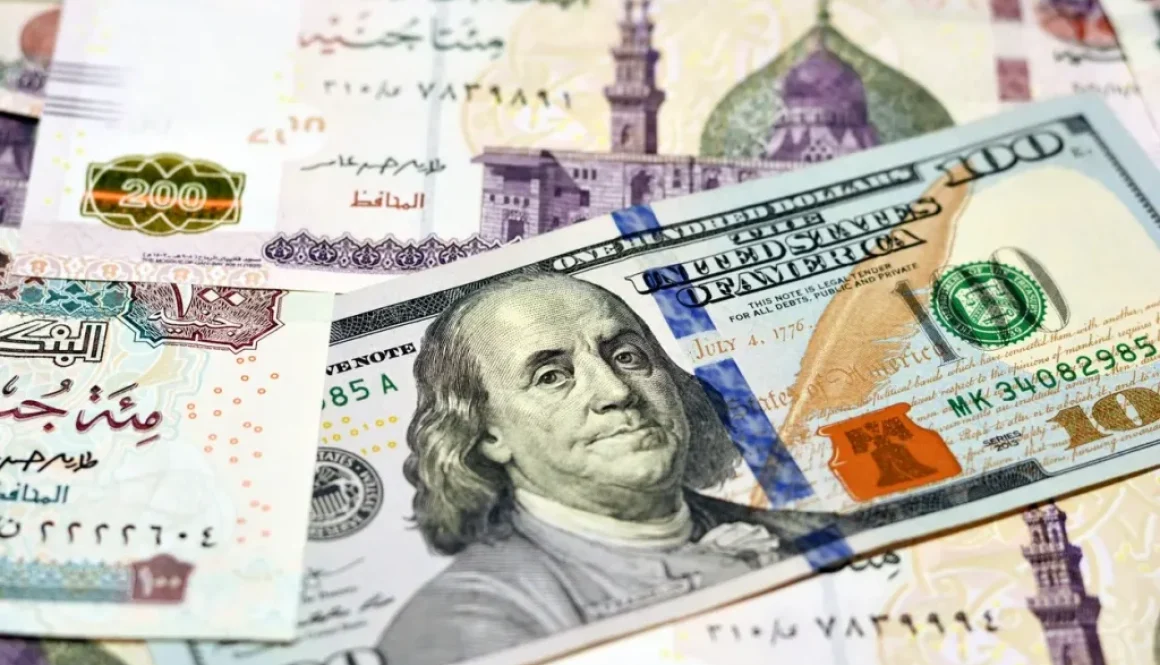 درس 2022 يُعيد رسم استراتيجية البنوك المصرية في إدارة تدفقات الأجانب