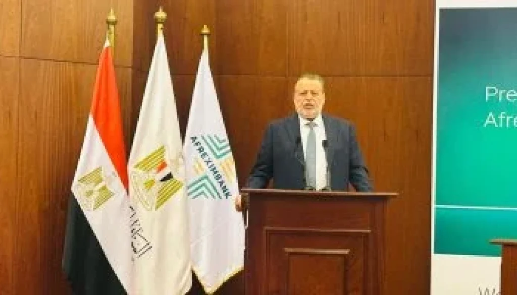 محافظ البنك المركزى مصر تدعم بناء منظومة مالية أفريقية أكثر مرونة وتكاملا