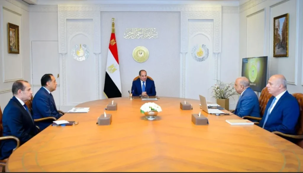 السيسي يبحث تعزيز «أمن الطاقة» في مصر
