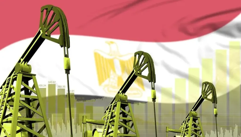 مصر تدرس التحوط ضد تقلبات أسعار النفط في العام المالي الجديد