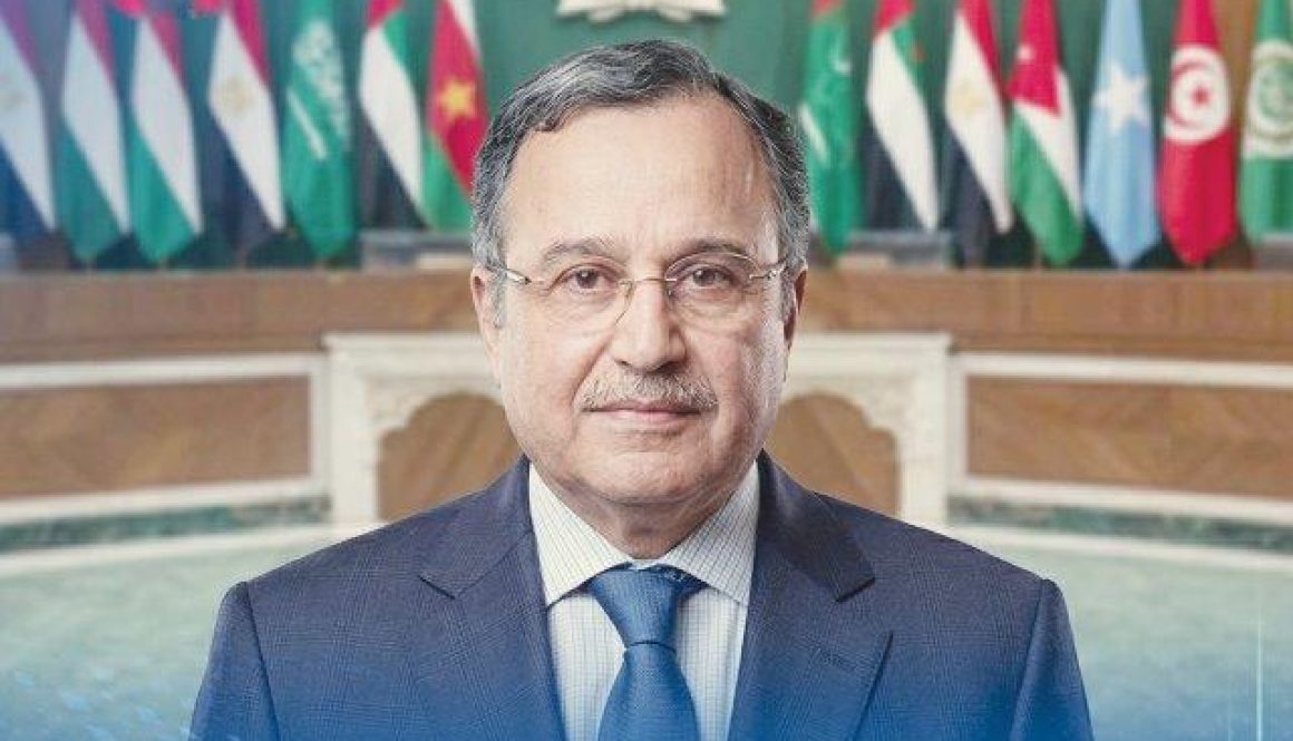 نبيل فهمي 1