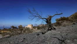 الأمن الغذائي العالمي تداعيات حرائق أوروبا وظاهرة النينيو