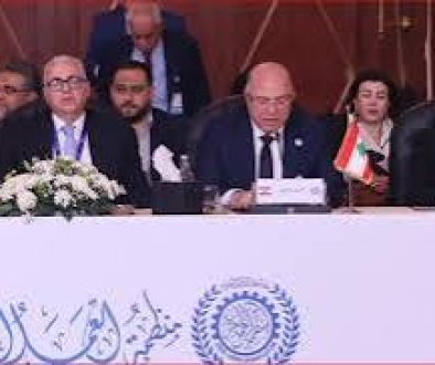 حيدر في مؤتمر العمل العربي حماية الاقتصاد تعني حماية العامل وصاحب العمل