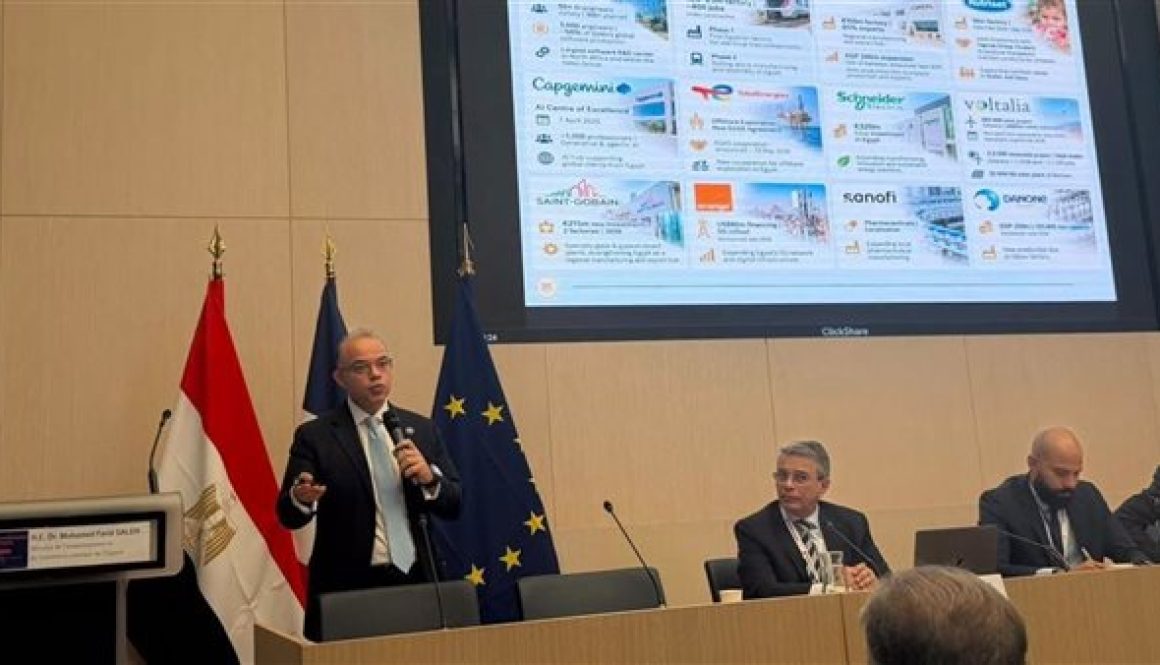 وزير الاستثمار مصر استحوذت على 22% من تدفقات الاستثمار الأجنبي المباشر إلى أفريقيا في 2025