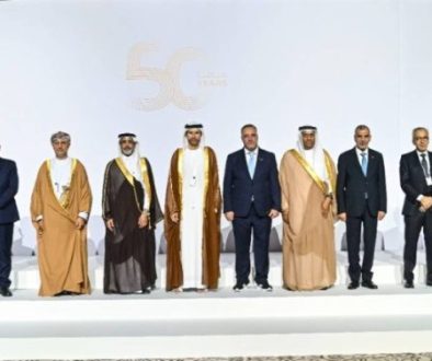 التمويل السيادي العربي بين الواقع والمرونة المستحدثة